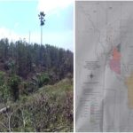 Satgas Inti Prabowo Kecam Perusahaan Perusak Hutan, Desak Negara Bertindak Tegas