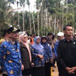 BNPB RI Pastikan Bangun Kembali Tiga Jembatan Rusak di Pesisir Selatan